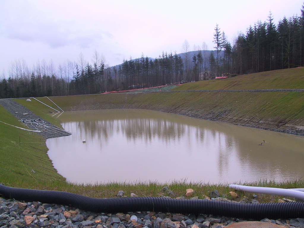 Site photo of a pond