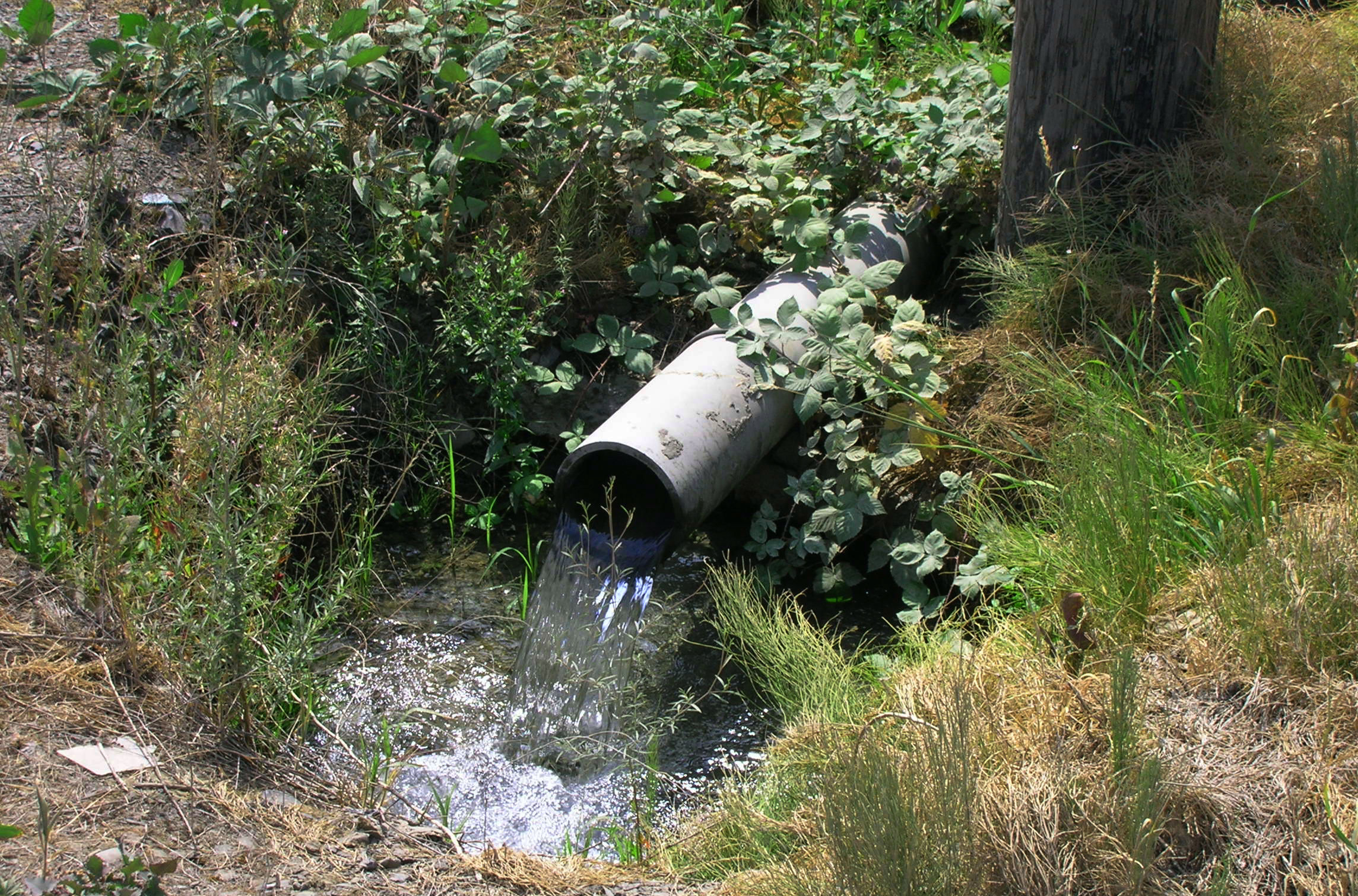 Outfall pipe