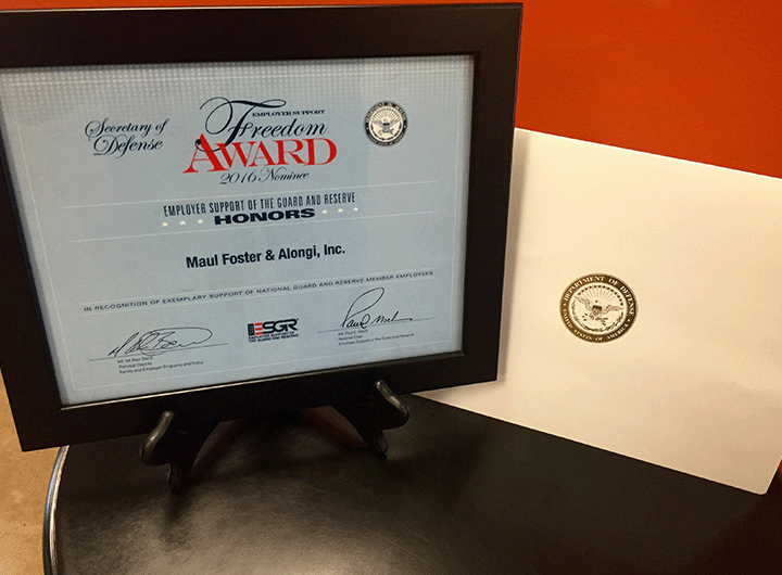 framed Freedom Award certificate sitting on tabletop