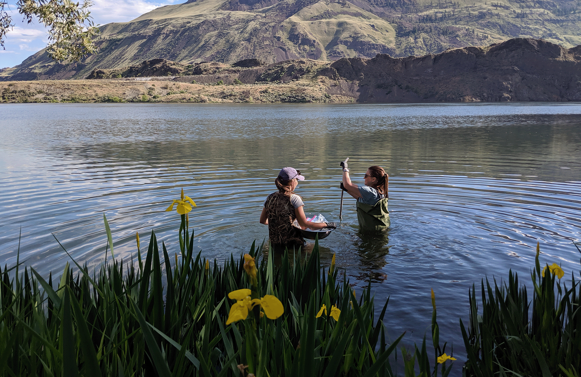 MFA employees sampling in the Columbia River, Washington