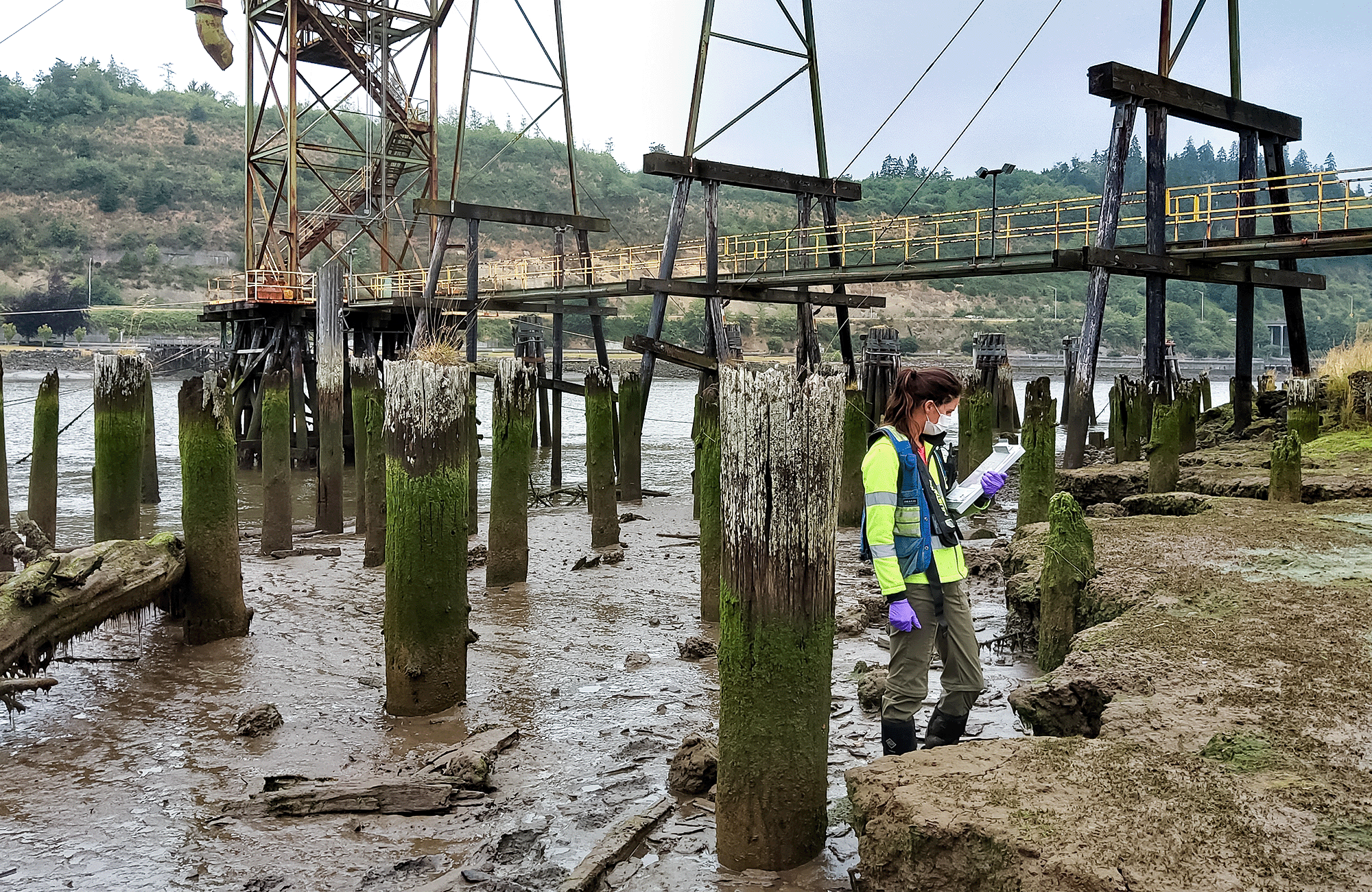 MFA employee doing sampling work in the willamette river