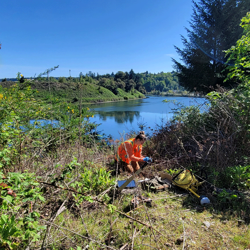 Employee sampling on site in Washington