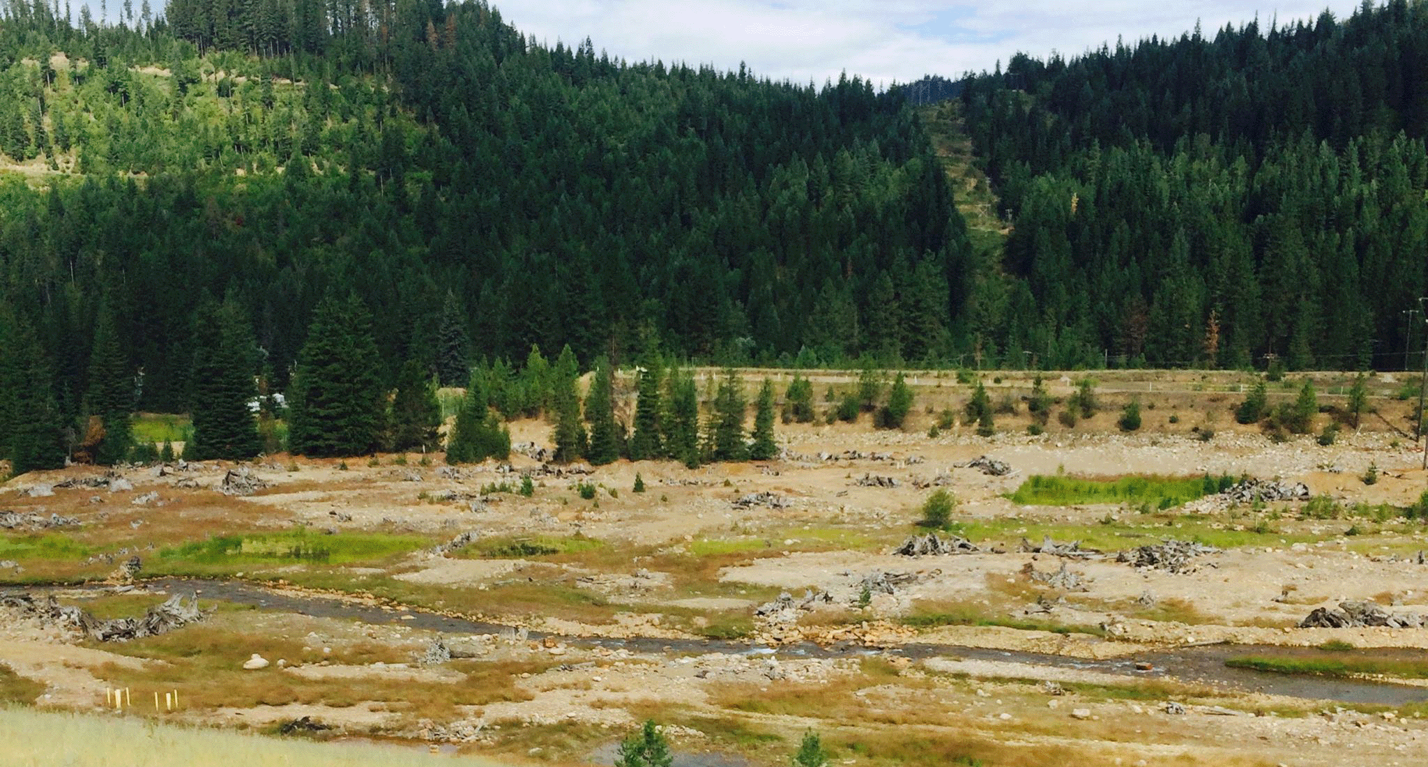 Silver Valley landscape