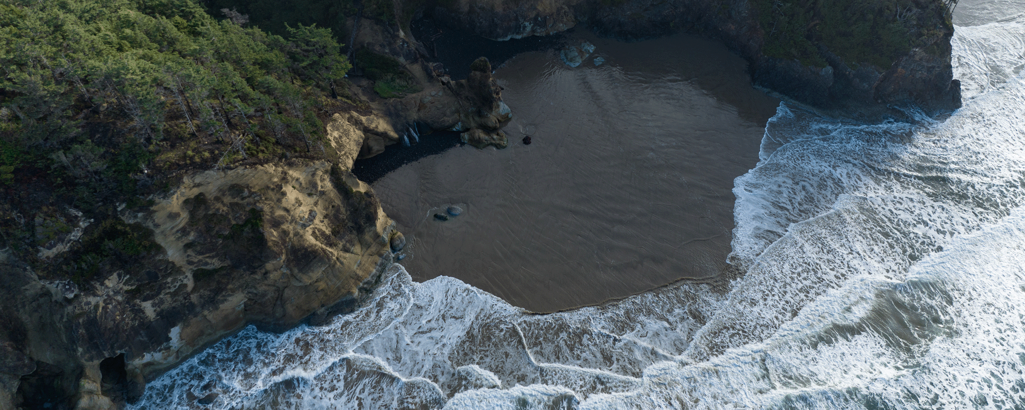 Climate Change & Resiliency. An aerial view of a rocky coastal area with a small beach surrounded by forested cliffs. Waves crash against the shore, and a winding road is visible through the dense trees.