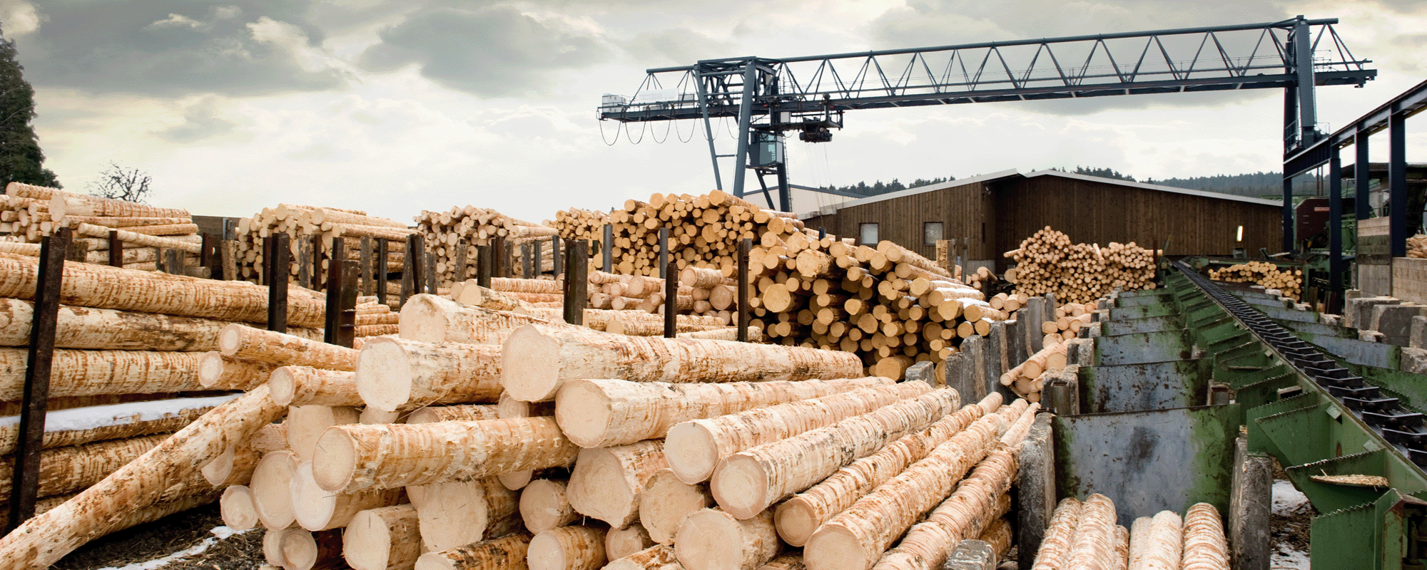 Forest Products. Stacks of freshly cut logs are piled high in a lumber yard. An industrial crane and various machinery are visible in the background under a cloudy sky with rays of sunlight breaking through.