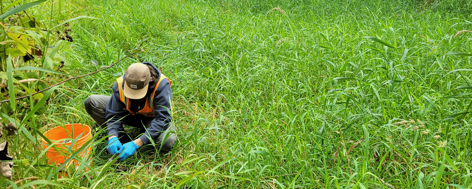 MFA employee sampling soil using a bucket and tools at a site characterization site. 