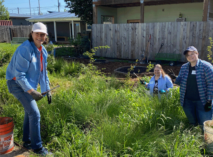 Team members volunteering