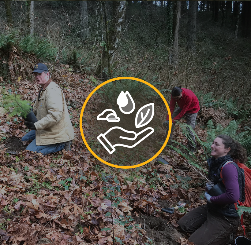 Team members doing forest clean up