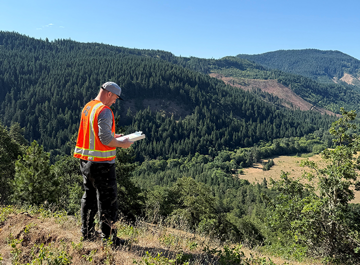 Worker with clipboard in forest