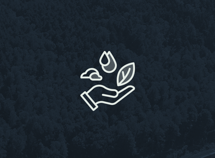 Sustainability, Climate Action & Resilience