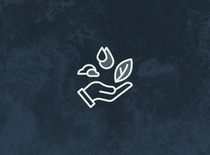 Hand icon and leaf