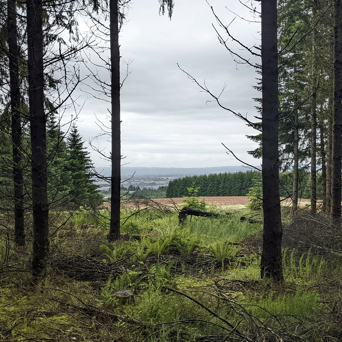 Air Quality Permitting for NXT Clean Fuels