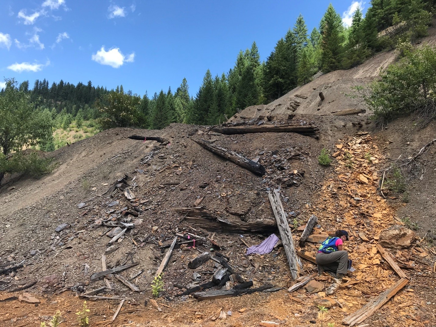 Sediment Sampling at Bunker Hill Superfund Site