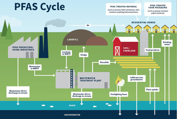 Diagram illustrating the PFAS cycle