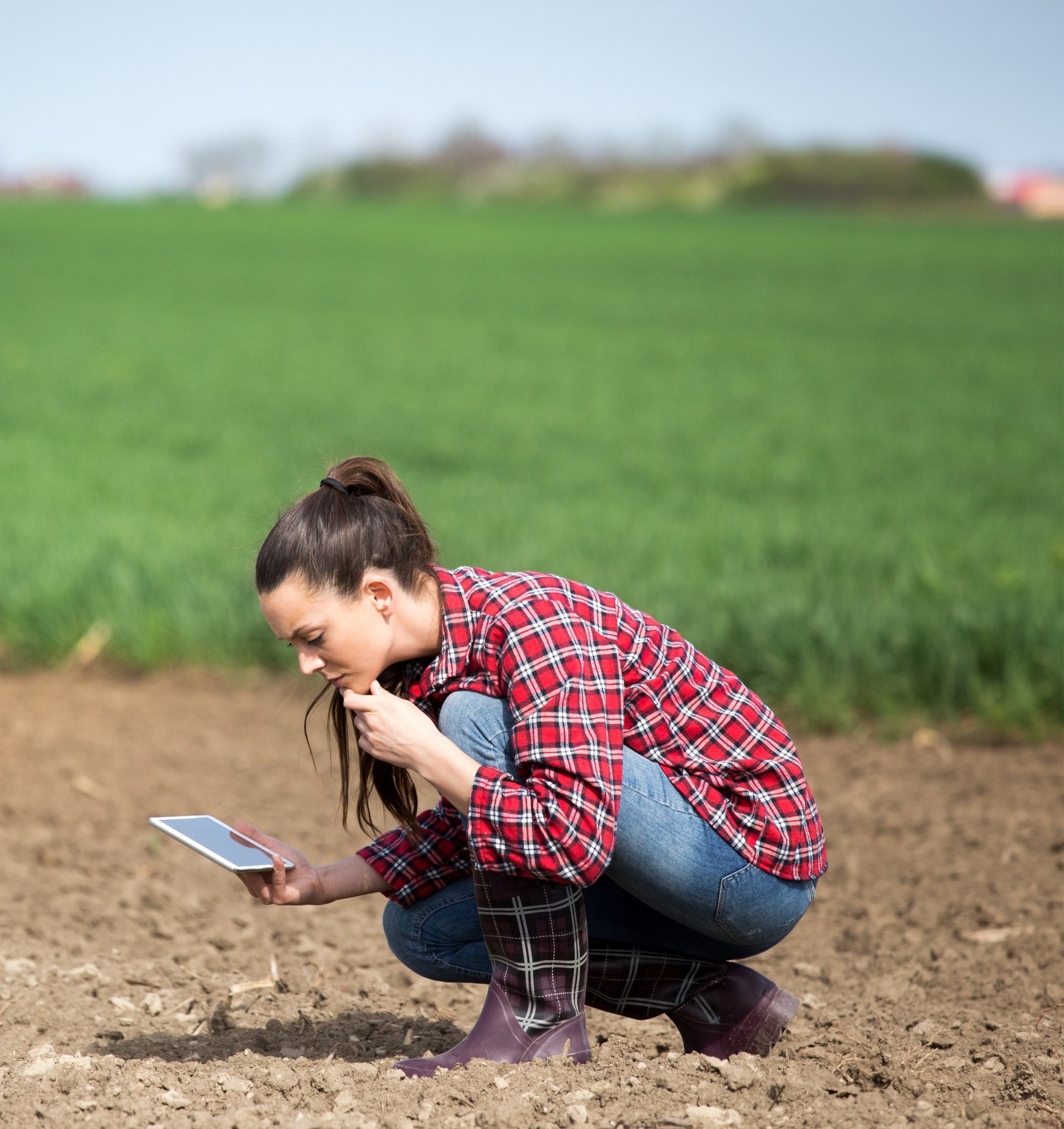 A Woman examining dirt in a farm field 