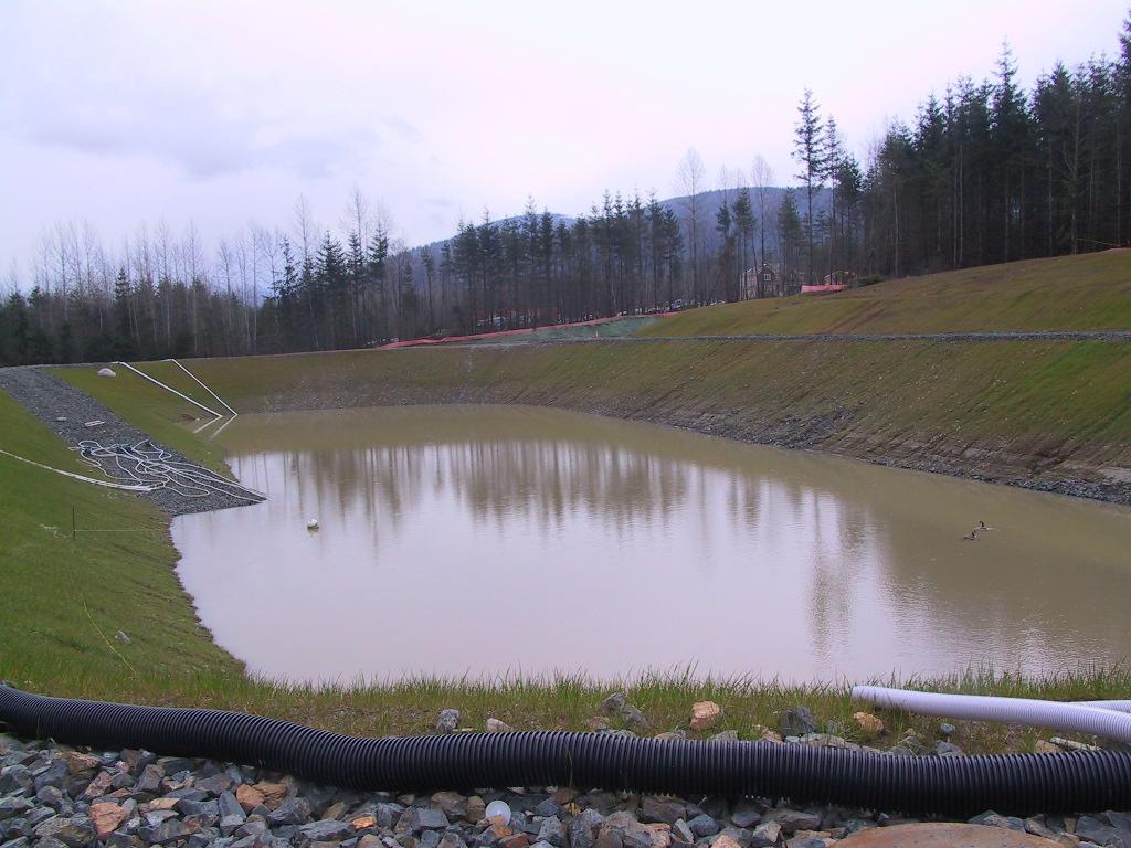 Site photo of a pond