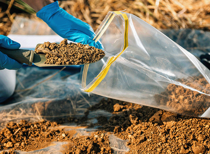 Environmental scientist sampling soil