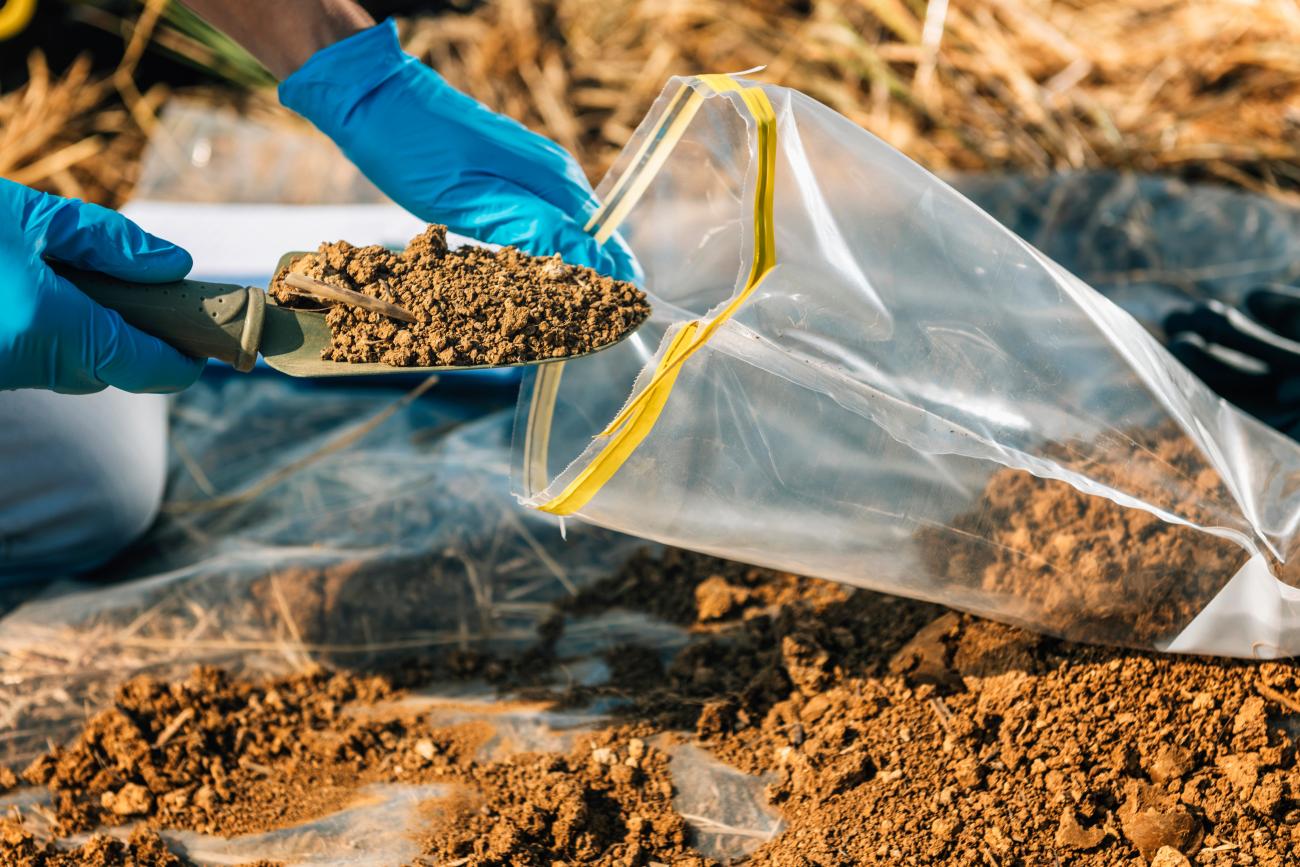 gloved hands collecting a soil sample in a plastic bag