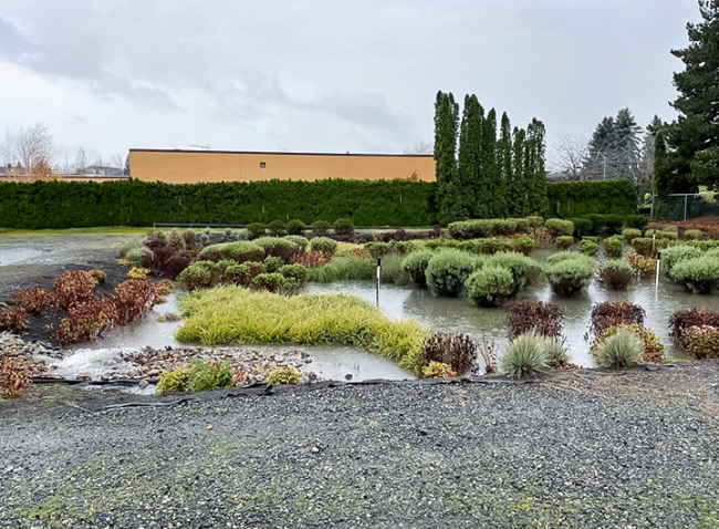 stormwater