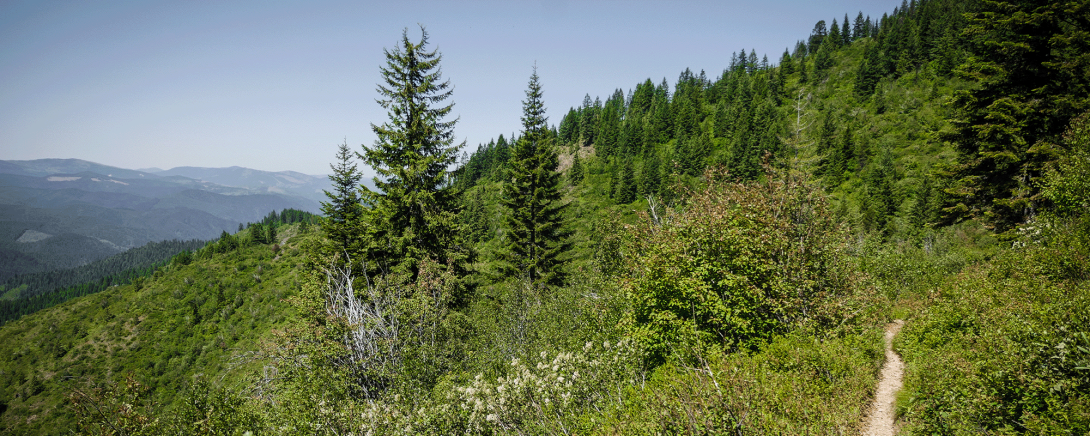 Image of Kellogg Idaho mountainside.