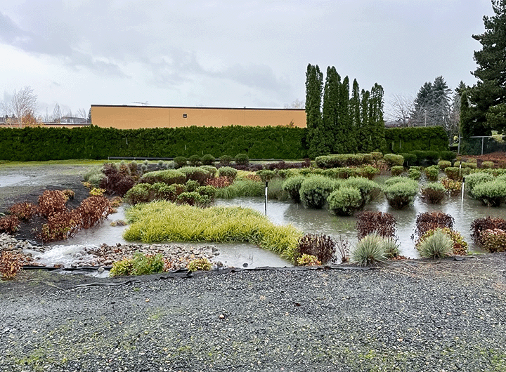 stormwater