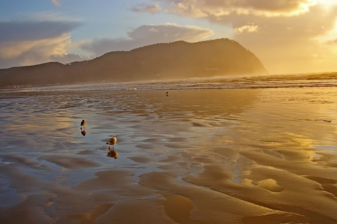 mist over beach